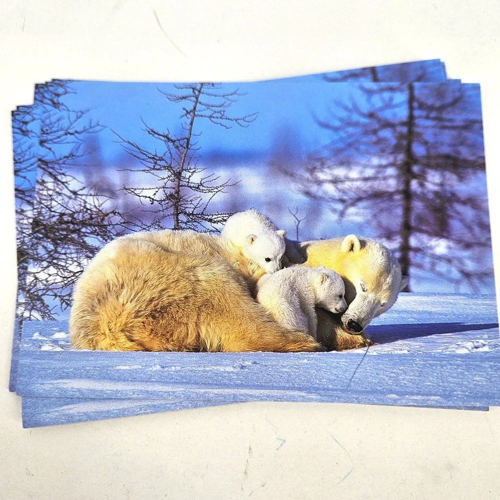 Mixed‎ lot Christmas Trees Polar Bears Merry Christmas Puppy Dog Money Cards